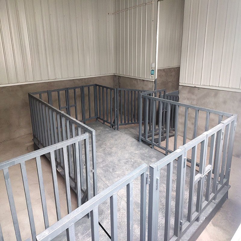 重慶圍欄畜牧秤稱豬秤客戶現(xiàn)場